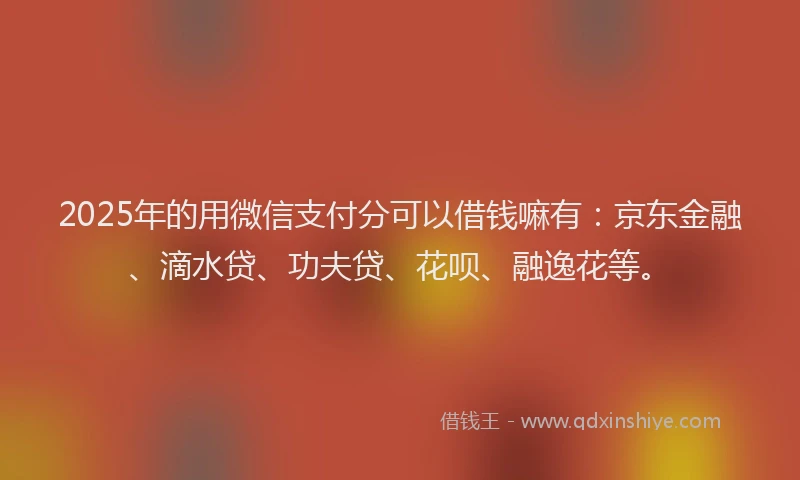 2025年的用微信支付分可以借钱嘛有：京东金融、滴水贷、功夫贷、花呗、融逸花等。