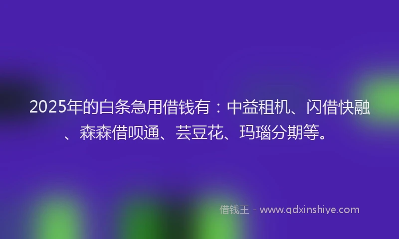 2025年的白条急用借钱有：中益租机、闪借快融、森森借呗通、芸豆花、玛瑙分期等。