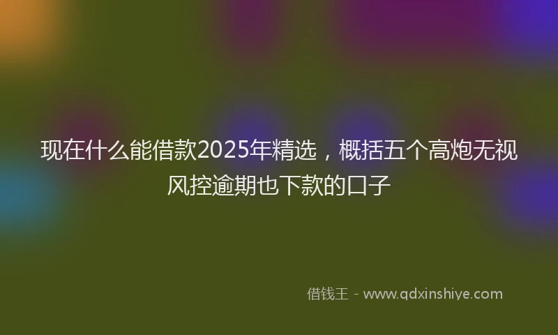 现在什么能借款2025年精选，概括五个高炮无视风控逾期也下款的口子