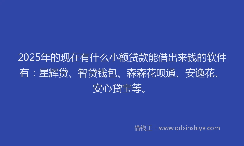 2025年的现在有什么小额贷款能借出来钱的软件有：星辉贷、智贷钱包、森森花呗通、安逸花、安心贷宝等。