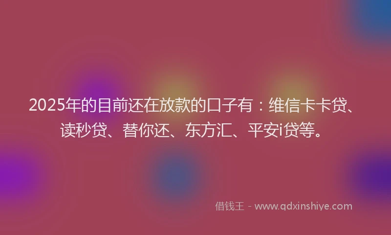 2025年的目前还在放款的口子有：维信卡卡贷、读秒贷、替你还、东方汇、平安i贷等。
