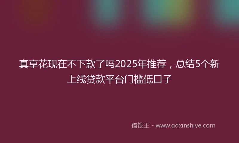 真享花现在不下款了吗2025年推荐，总结5个新上线贷款平台门槛低口子