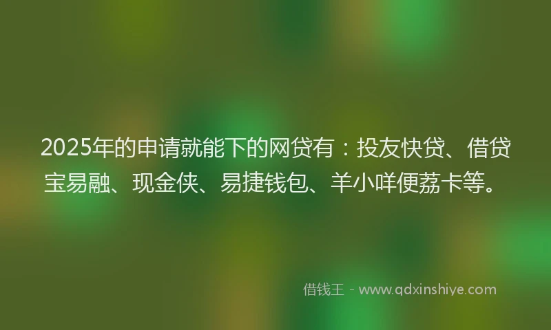 2025年的申请就能下的网贷有：投友快贷、借贷宝易融、现金侠、易捷钱包、羊小咩便荔卡等。