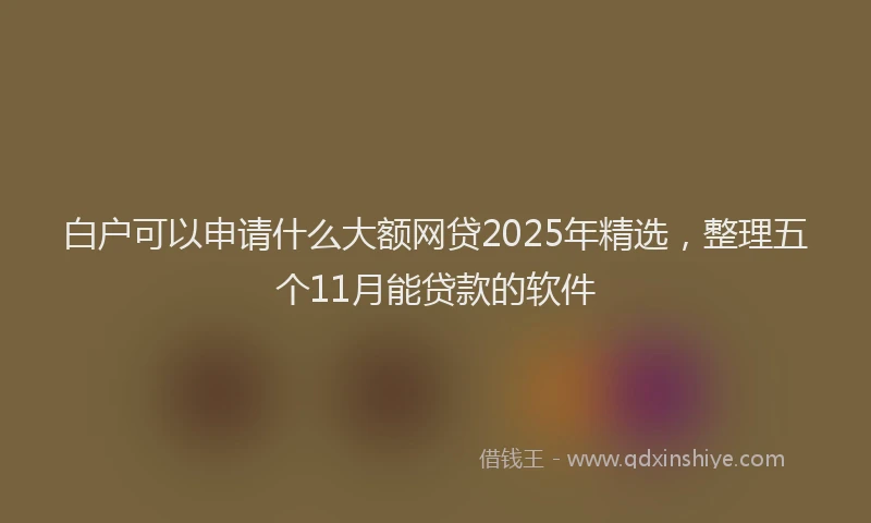 白户可以申请什么大额网贷2025年精选，整理五个11月能贷款的软件