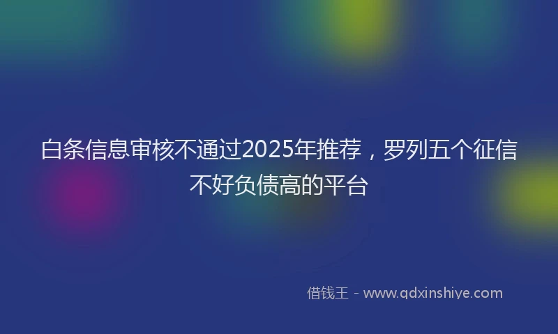 白条信息审核不通过2025年推荐，罗列五个征信不好负债高的平台