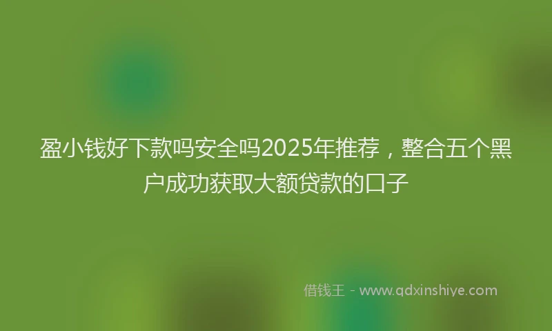 盈小钱好下款吗安全吗2025年推荐，整合五个黑户成功获取大额贷款的口子
