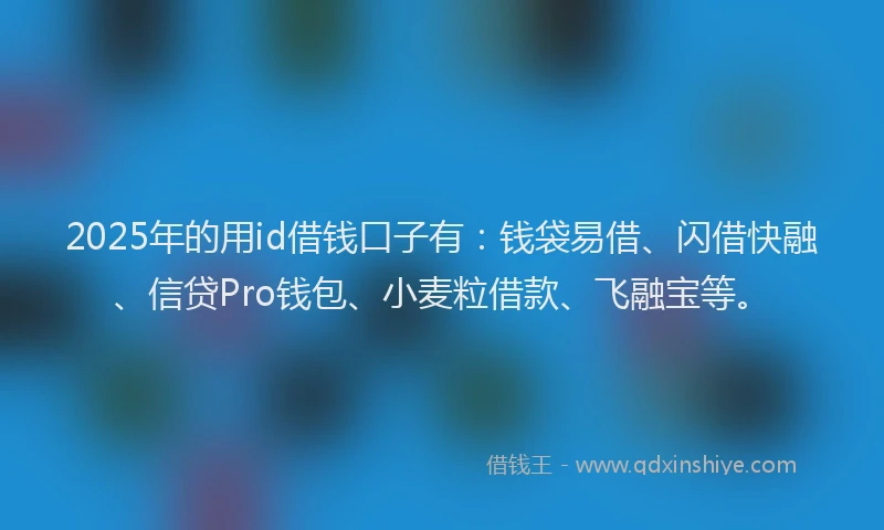 2025年的用id借钱口子有：钱袋易借、闪借快融、信贷Pro钱包、小麦粒借款、飞融宝等。