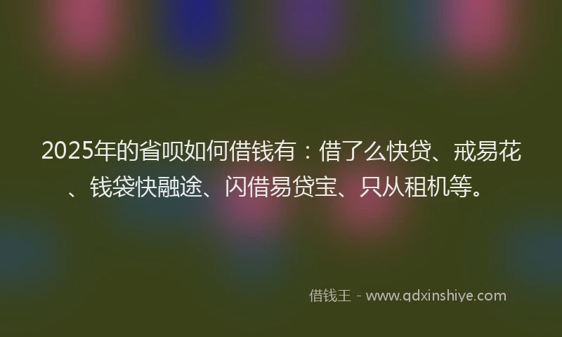 2025年的省呗如何借钱有：借了么快贷、戒易花、钱袋快融途、闪借易贷宝、只从租机等。