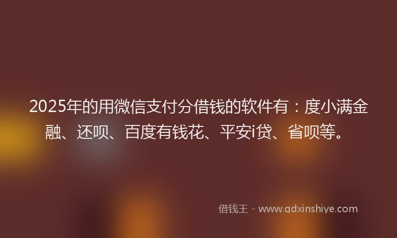 2025年的用微信支付分借钱的软件有：度小满金融、还呗、百度有钱花、平安i贷、省呗等。