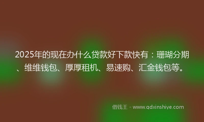 2025年的现在办什么贷款好下款快有：珊瑚分期、维维钱包、厚厚租机、易速购、汇金钱包等。