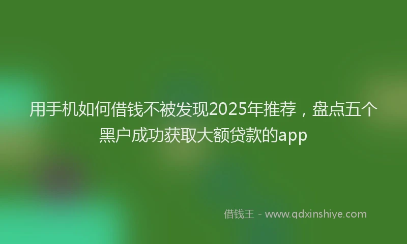 用手机如何借钱不被发现2025年推荐，盘点五个黑户成功获取大额贷款的app
