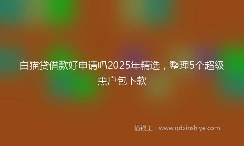 白猫贷借款好申请吗2025年精选，整理5个超级黑户包下款