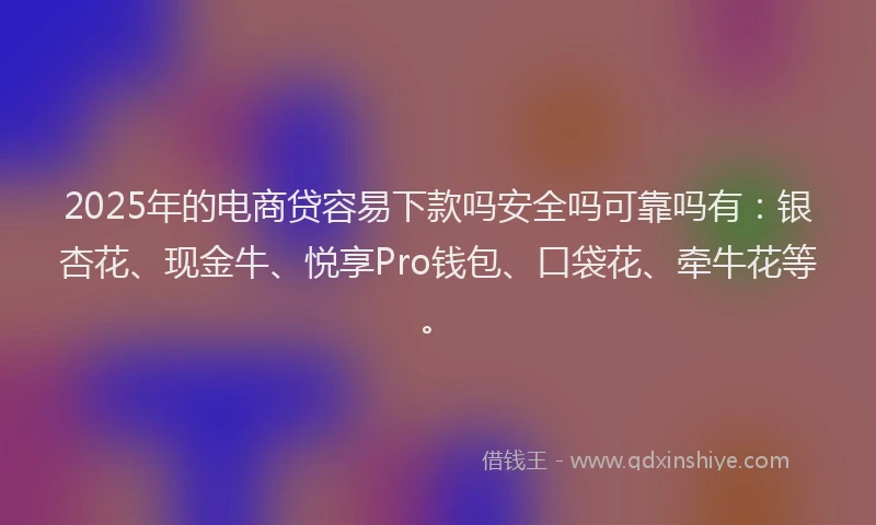 2025年的电商贷容易下款吗安全吗可靠吗有：银杏花、现金牛、悦享Pro钱包、口袋花、牵牛花等。