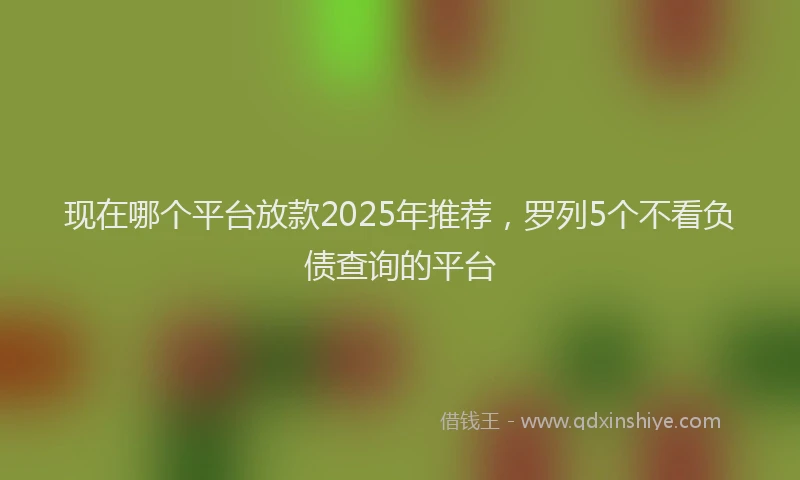 现在哪个平台放款2025年推荐，罗列5个不看负债查询的平台