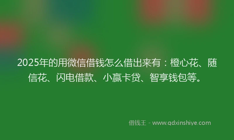 2025年的用微信借钱怎么借出来有：橙心花、随信花、闪电借款、小赢卡贷、智享钱包等。