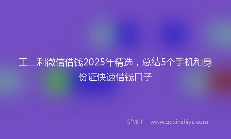 王二利微信借钱2025年精选，总结5个手机和身份证快速借钱口子