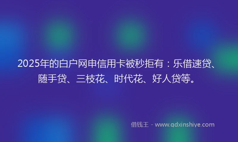 2025年的白户网申信用卡被秒拒有：乐借速贷、随手贷、三枝花、时代花、好人贷等。
