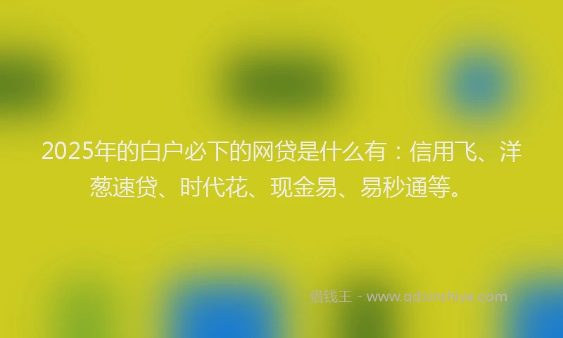 2025年的白户必下的网贷是什么有：信用飞、洋葱速贷、时代花、现金易、易秒通等。