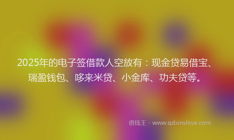 2025年的电子签借款人空放有：现金贷易借宝、瑞盈钱包、哆来米贷、小金库、功夫贷等。