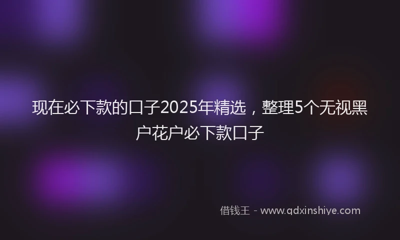现在必下款的口子2025年精选，整理5个无视黑户花户必下款口子