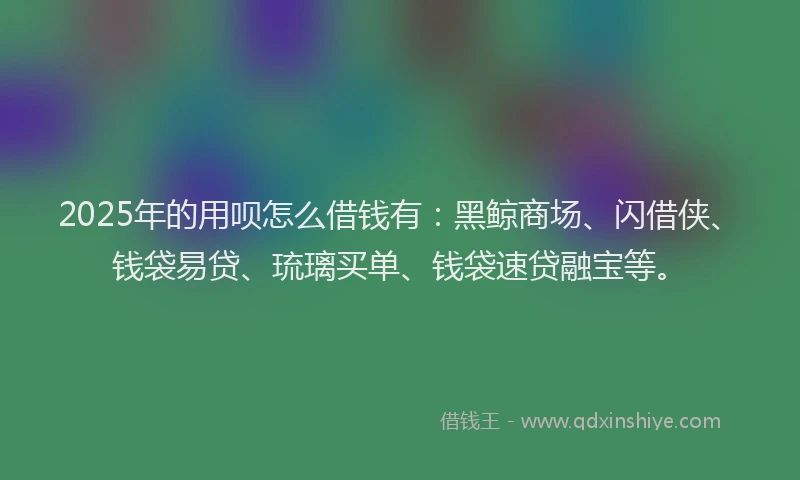 2025年的用呗怎么借钱有：黑鲸商场、闪借侠、钱袋易贷、琉璃买单、钱袋速贷融宝等。