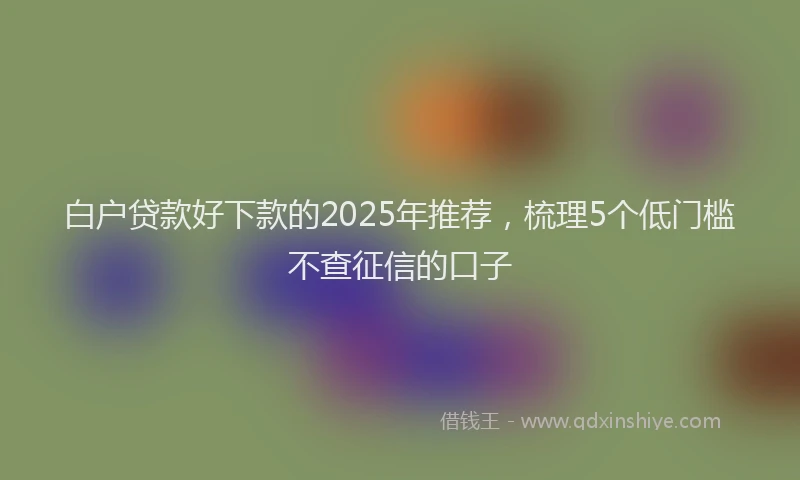 白户贷款好下款的2025年推荐，梳理5个低门槛不查征信的口子