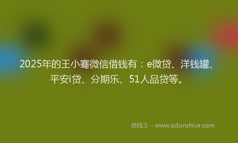 2025年的王小骞微信借钱有：e微贷、洋钱罐、平安i贷、分期乐、51人品贷等。