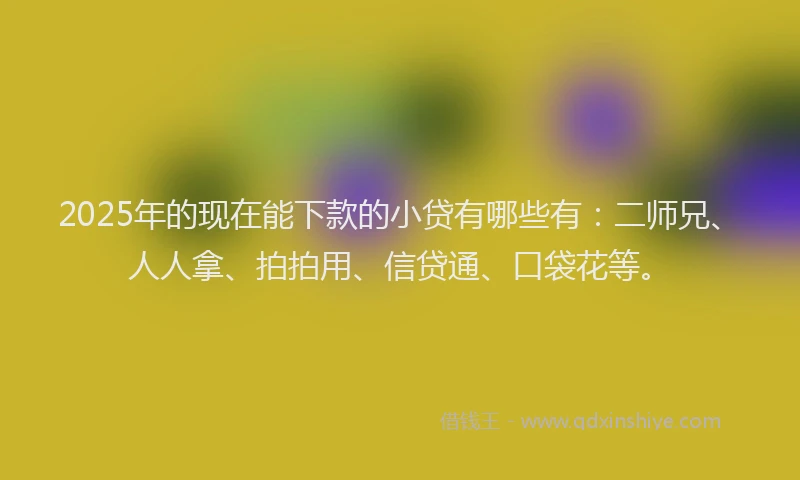 2025年的现在能下款的小贷有哪些有：二师兄、人人拿、拍拍用、信贷通、口袋花等。