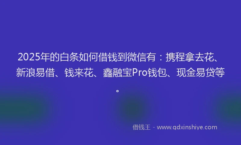 2025年的白条如何借钱到微信有:携程拿去花、新浪易借、钱来花、鑫融宝Pro钱包、现金易贷等。