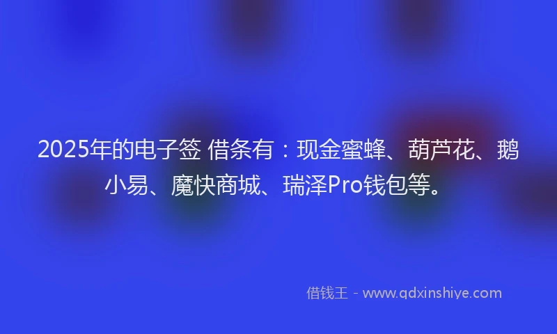 2025年的电子签 借条有：现金蜜蜂、葫芦花、鹅小易、魔快商城、瑞泽Pro钱包等。