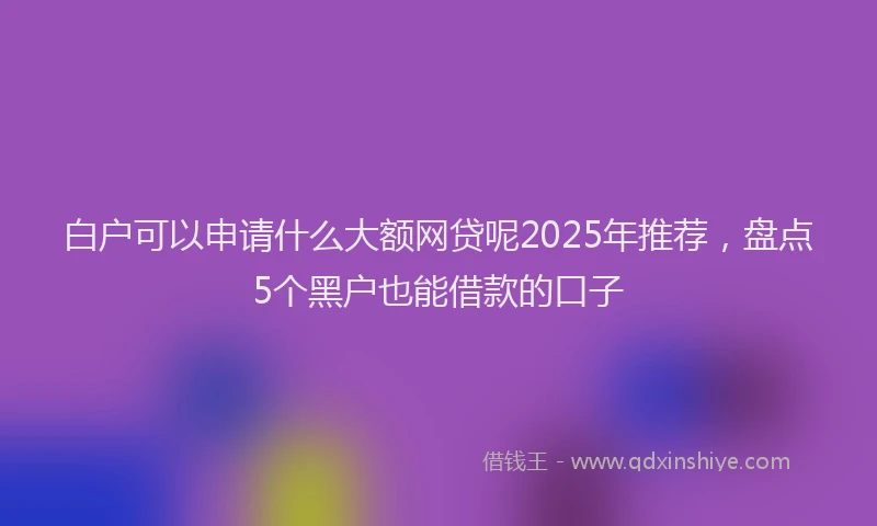 白户可以申请什么大额网贷呢2025年推荐，盘点5个黑户也能借款的口子