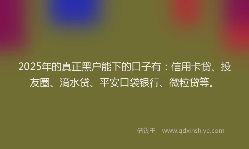 2025年的真正黑户能下的口子有：信用卡贷、投友圈、滴水贷、平安口袋银行、微粒贷等。