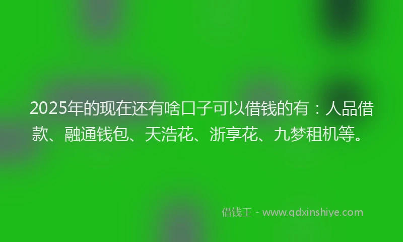 2025年的现在还有啥口子可以借钱的有：人品借款、融通钱包、天浩花、浙享花、九梦租机等。