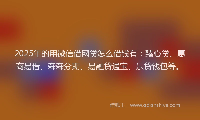 2025年的用微信借网贷怎么借钱有：臻心贷、惠商易借、森森分期、易融贷通宝、乐贷钱包等。