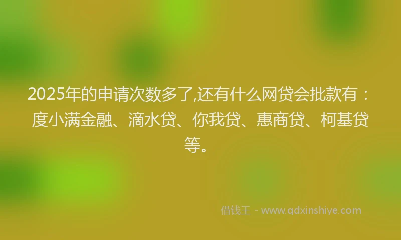 2025年的申请次数多了,还有什么网贷会批款有：度小满金融、滴水贷、你我贷、惠商贷、柯基贷等。