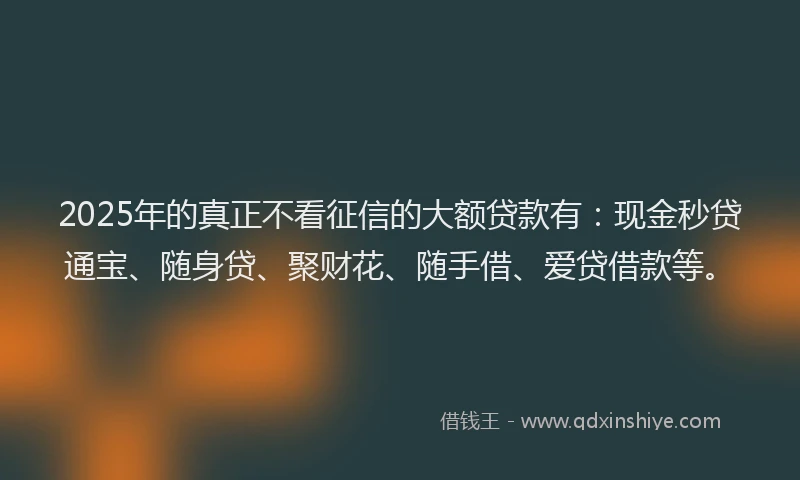 2025年的真正不看征信的大额贷款有：现金秒贷通宝、随身贷、聚财花、随手借、爱贷借款等。