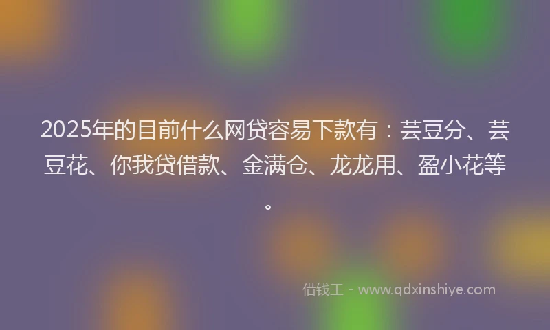 2025年的目前什么网贷容易下款有：芸豆分、芸豆花、你我贷借款、金满仓、龙龙用、盈小花等。