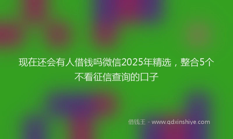 现在还会有人借钱吗微信2025年精选，整合5个不看征信查询的口子