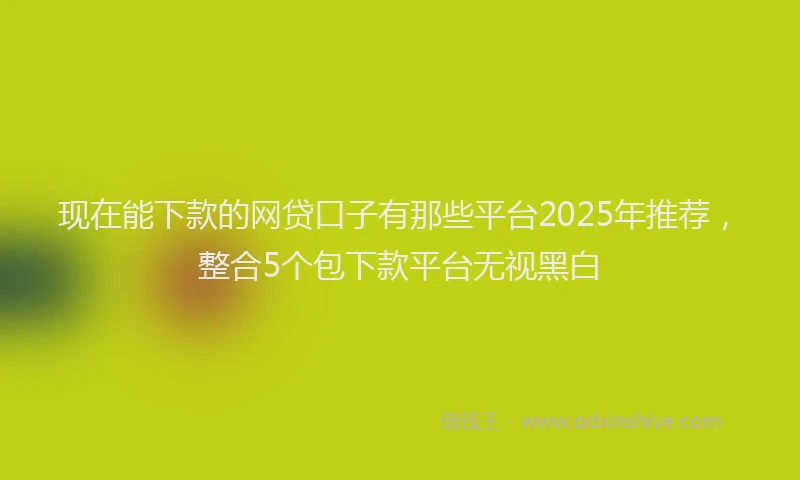 现在能下款的网贷口子有那些平台2025年推荐，整合5个包下款平台无视黑白