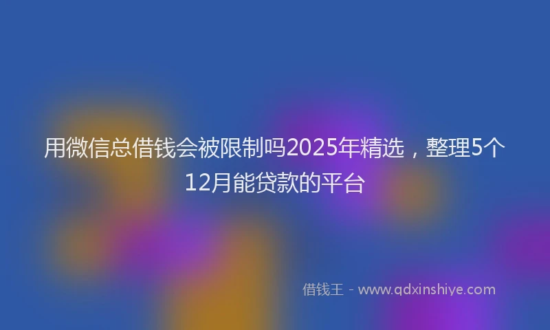 用微信总借钱会被限制吗2025年精选，整理5个12月能贷款的平台