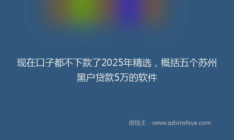 现在口子都不下款了2025年精选，概括五个苏州黑户贷款5万的软件