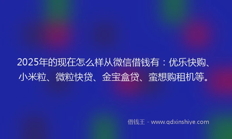2025年的现在怎么样从微信借钱有：优乐快购、小米粒、微粒快贷、金宝盒贷、蛮想购租机等。