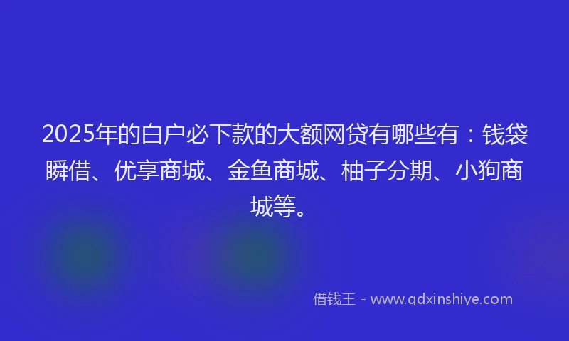 2025年的白户必下款的大额网贷有哪些有：钱袋瞬借、优享商城、金鱼商城、柚子分期、小狗商城等。