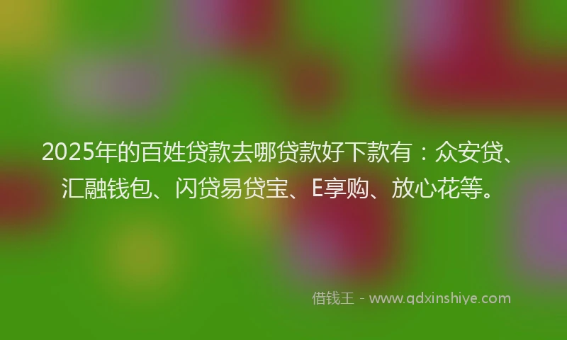 2025年的百姓贷款去哪贷款好下款有：众安贷、汇融钱包、闪贷易贷宝、E享购、放心花等。