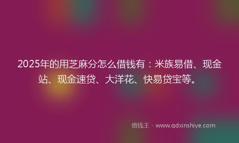 2025年的用芝麻分怎么借钱有：米族易借、现金站、现金速贷、大洋花、快易贷宝等。