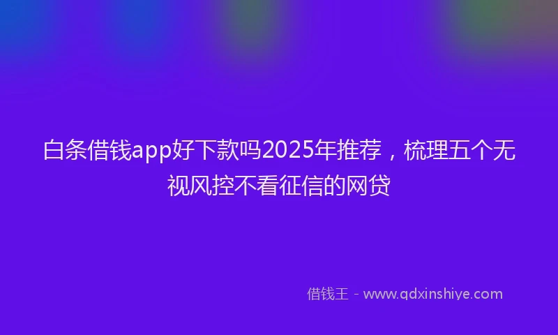 白条借钱app好下款吗2025年推荐，梳理五个无视风控不看征信的网贷