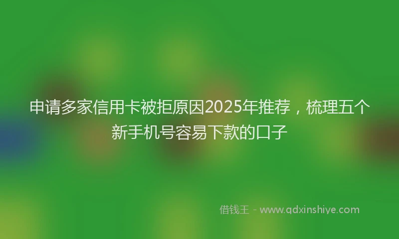 申请多家信用卡被拒原因2025年推荐，梳理五个新手机号容易下款的口子