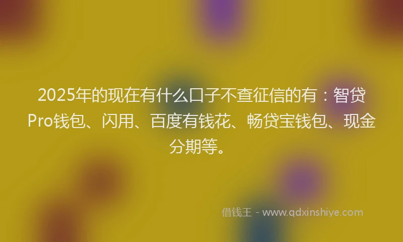 2025年的现在有什么口子不查征信的有：智贷Pro钱包、闪用、百度有钱花、畅贷宝钱包、现金分期等。