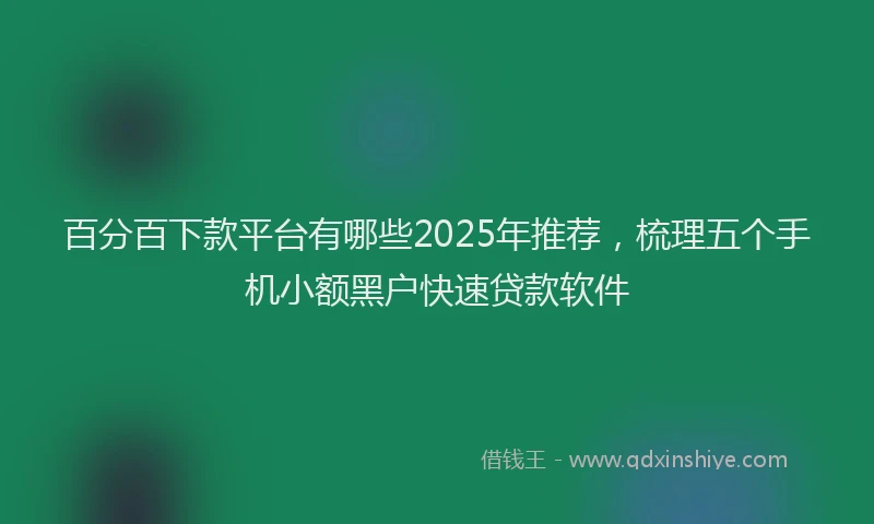 百分百下款平台有哪些2025年推荐，梳理五个手机小额黑户快速贷款软件