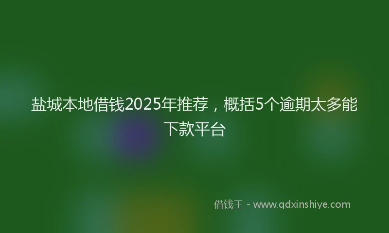盐城本地借钱2025年推荐，概括5个逾期太多能下款平台
